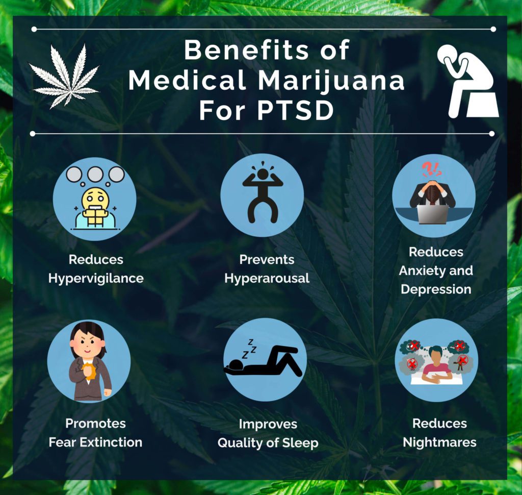 Ptsd marijuana help treats science why does can explains No proof yet that marijuana helps with ptsd symptoms