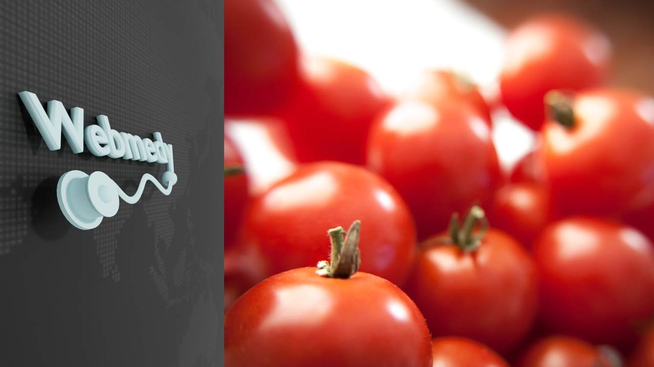 Are tomatoes good for you