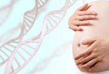 What do we know about endocrine disruptors during pregnancy