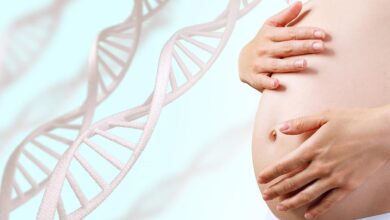 What do we know about endocrine disruptors during pregnancy