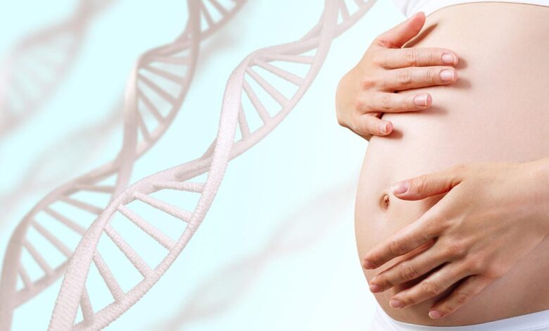 What do we know about endocrine disruptors during pregnancy