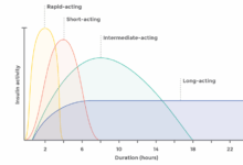 Type 2 diabetes insulin decision guide