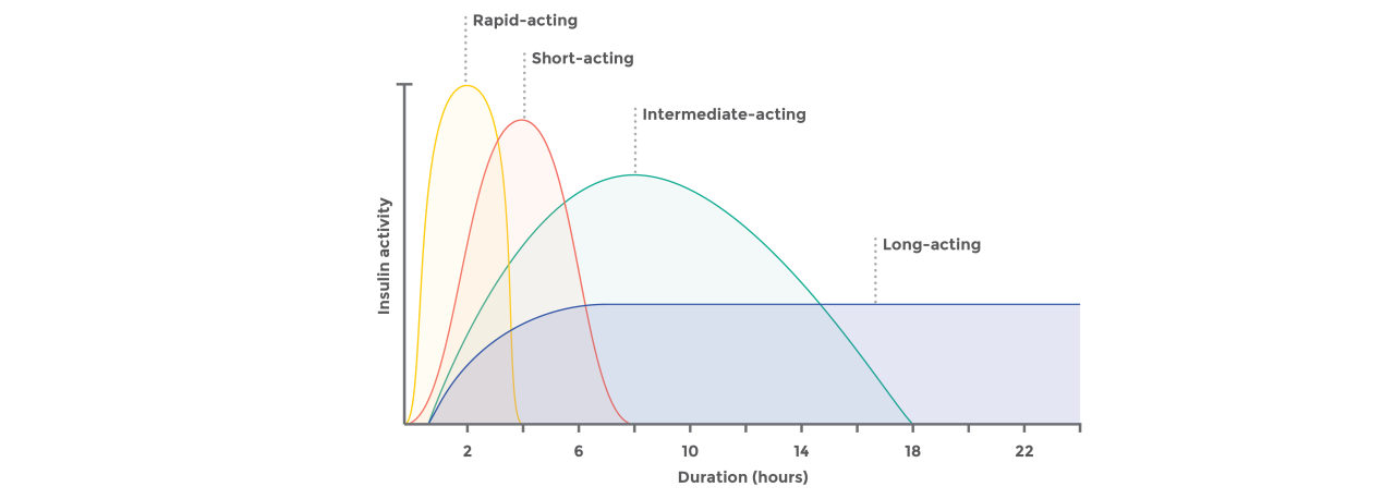 Type 2 diabetes insulin decision guide