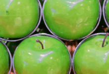 Organic apples boost gut health more than convential version