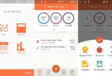 Best calorie counting apps badge