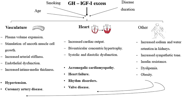 Acromegaly slide patients