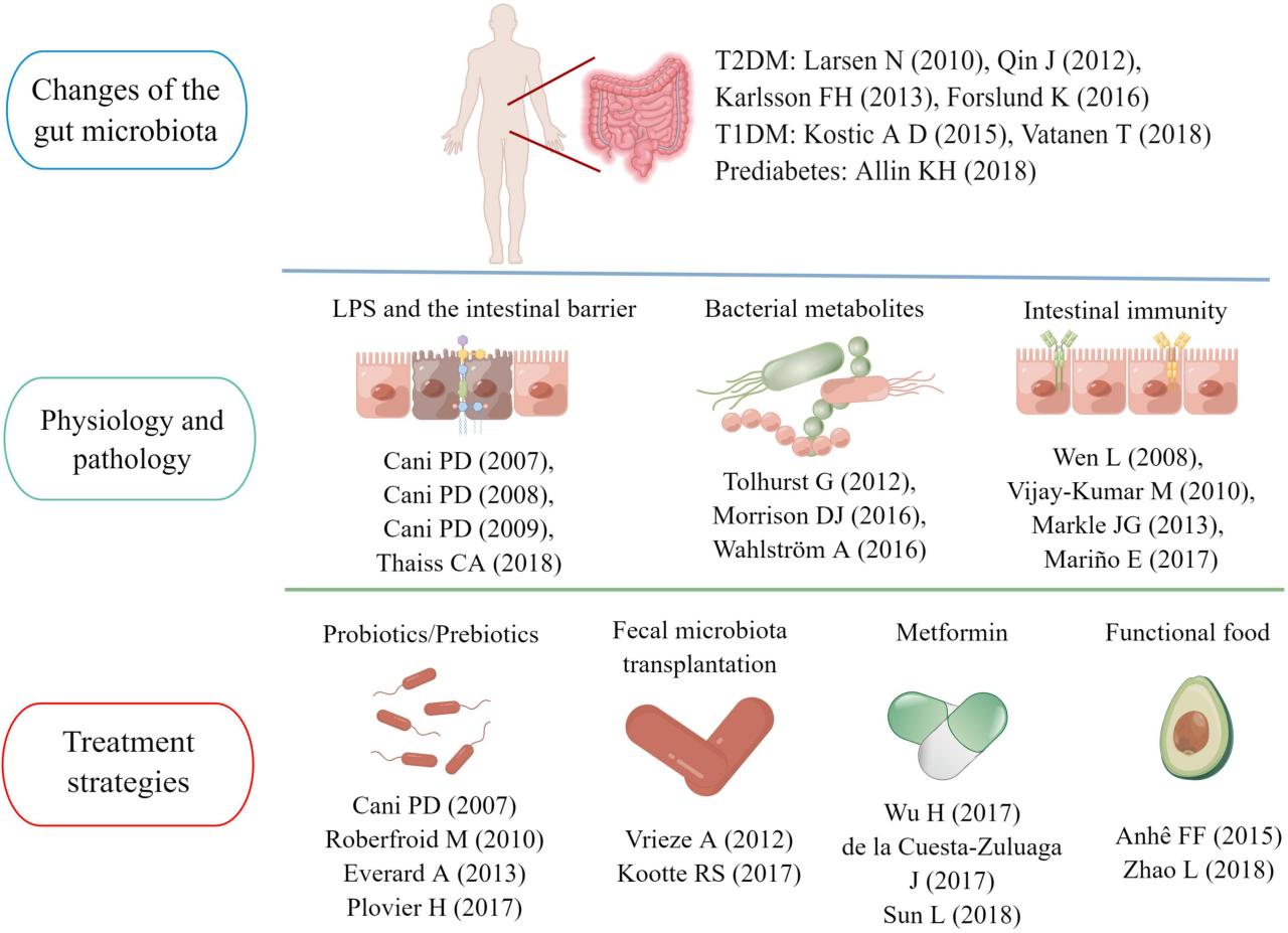 Microbiota liver frontiersin alcoholic adolescents fatty disease regulating diversity fnut Microbiota liver frontiersin alcoholic adolescents fatty disease regulating diversity fnut