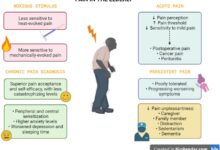Chronic pain striking middle aged americans with less education heres why