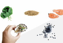 Boost your fertility give up fast food