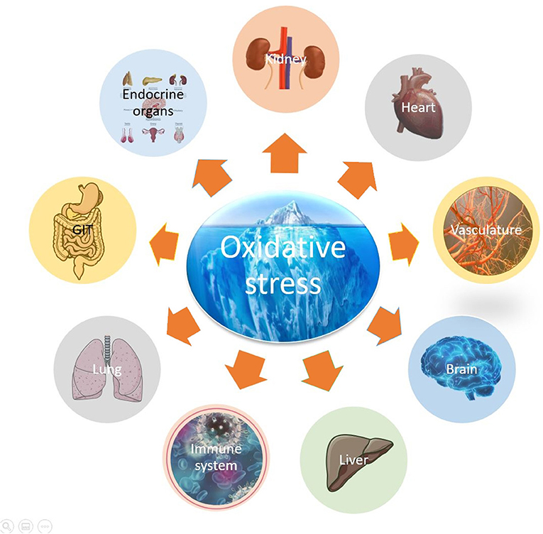 Oxidative stress affects multiple sclerosis