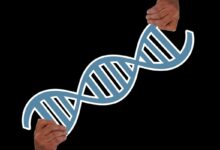 Gene variants diagnose ms early