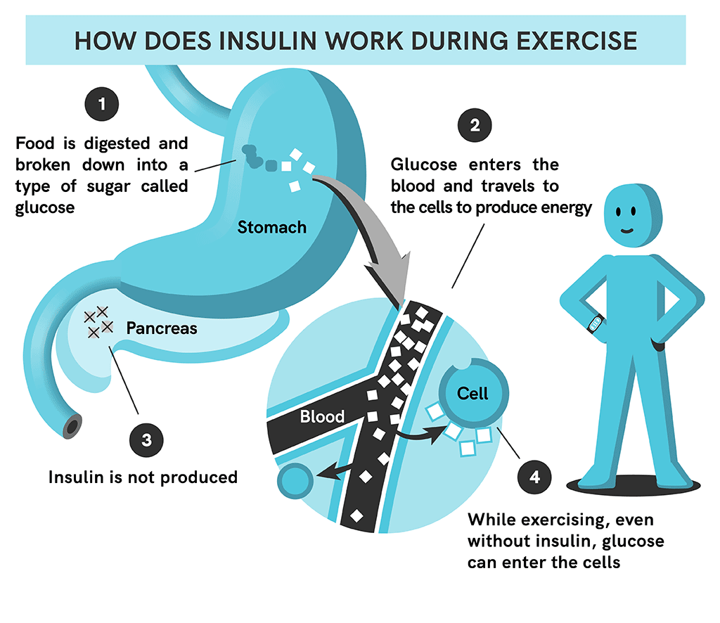 How eating only in the daytime can help people with type 2 diabetes