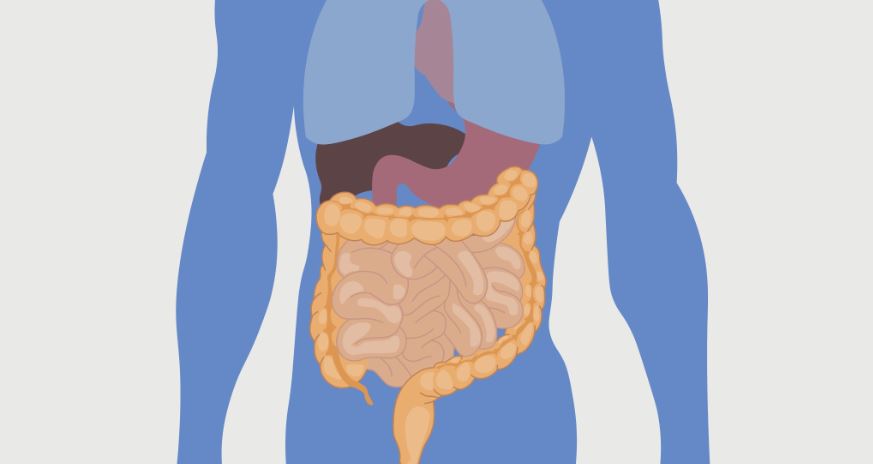 Sugary Drinks - The Nutrition Source Fruit juice flavored coffee doesnt matter drinking any sugary beverage increases diabetes risk