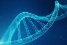 Cancer genetic genetics infographic causes changes mutations prevention lead common disease cause cells types gov research cancerous crispr genomic aspects