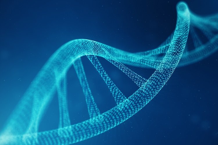 Cancer genetic genetics infographic causes changes mutations prevention lead common disease cause cells types gov research cancerous crispr genomic aspects
