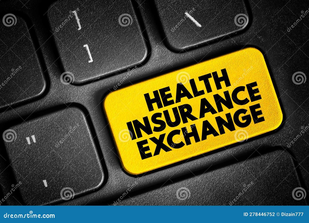 Navigating the federal exchange