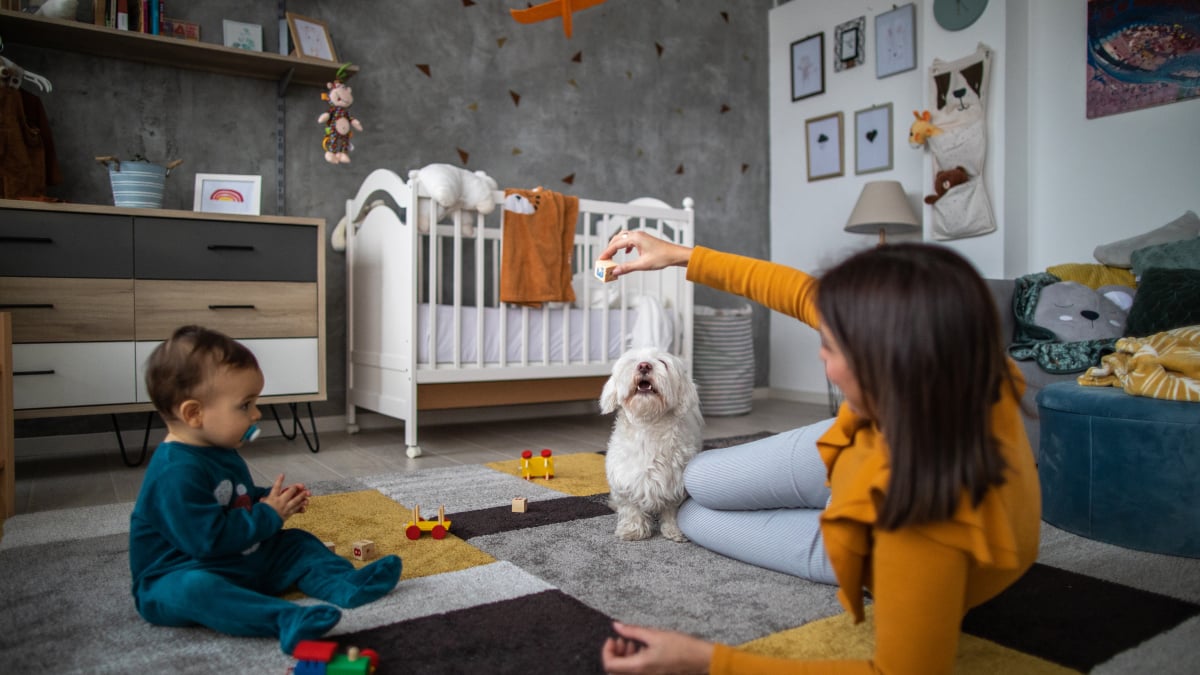 Prime day deals for parents