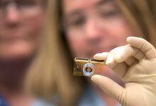 Human on a chip technology can test cancer treatments