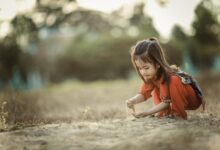 Light exposure can be passed to children