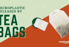 Microplastics released into cup of tea