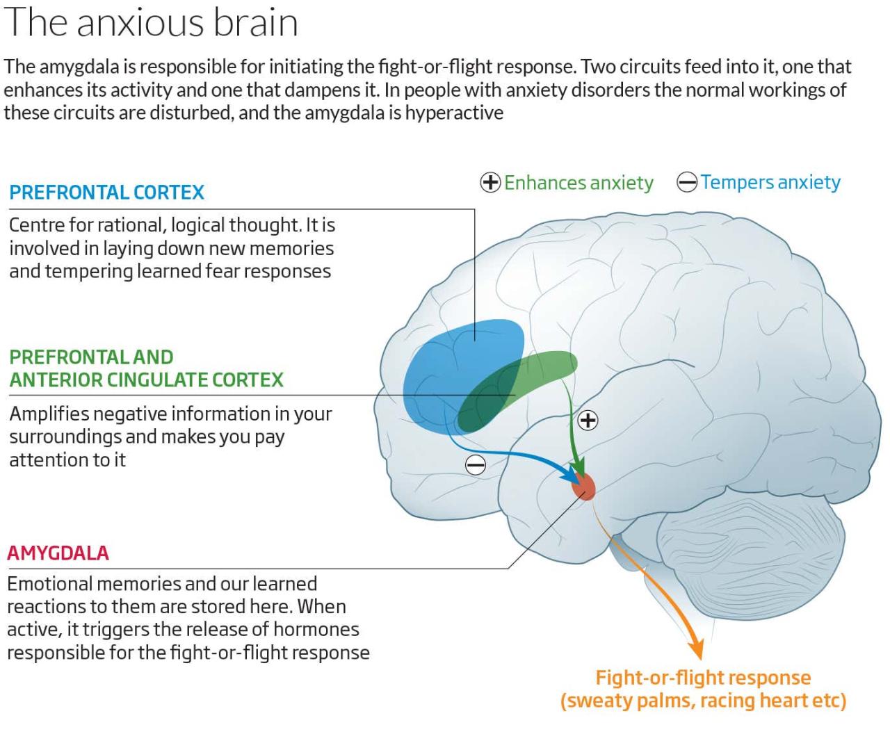 Why we worry: Understanding anxiety and how to help it | New Scientist Why stress and anxiety arent always bad for you