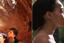 The disease that stars in the big sick