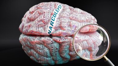 Narcolepsy and your brain