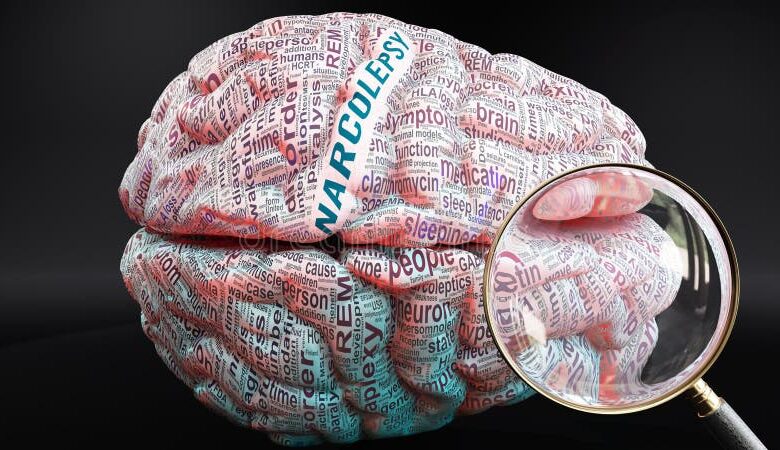 Narcolepsy and your brain