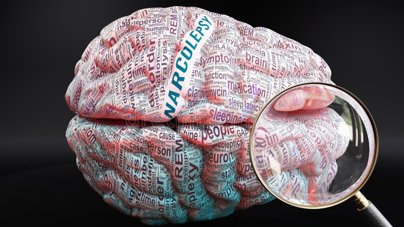 Narcolepsy and your brain