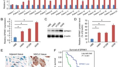 Prostate cancer gene spink1