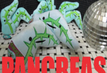 Diabetes plush pancreas toys