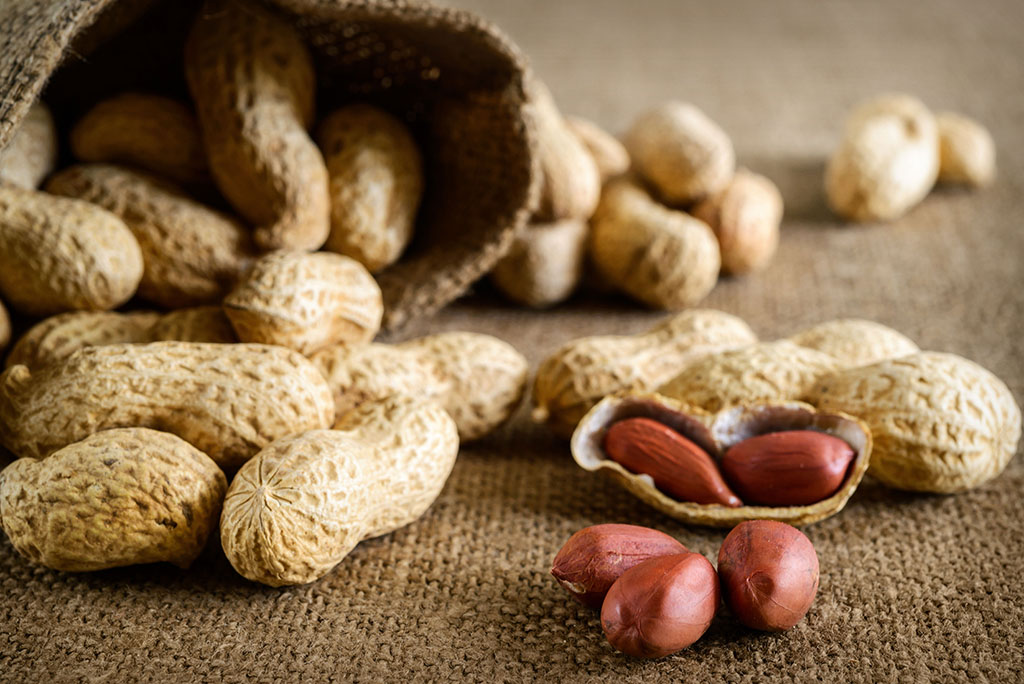 Allergy peanut vaccine data preclinical allergic publishes therapeutics candidate encouraging snacksafely positive symptoms systemic reducing efficacy demonstrates package safety local Allergy peanut vaccine data preclinical allergic publishes therapeutics candidate encouraging snacksafely positive symptoms systemic reducing efficacy demonstrates package safety local