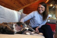 Why women sleep better with dogs