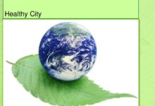 Howaa city gets healthy