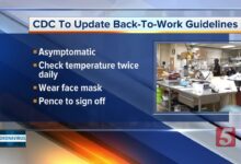 Cdc gives advice on how to go back to work what the experts say