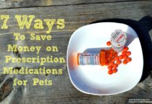 People using pet prescription medication terrible idea