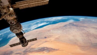 Bacteria deadly antibiotics resilient