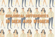Why men and women need different treatment guidelines for obesity hypertension and diabetes