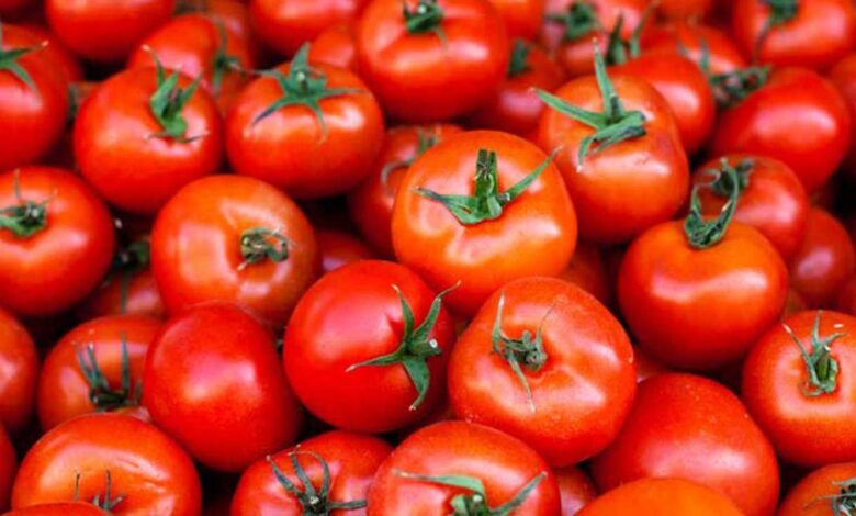 Are tomatoes good for you