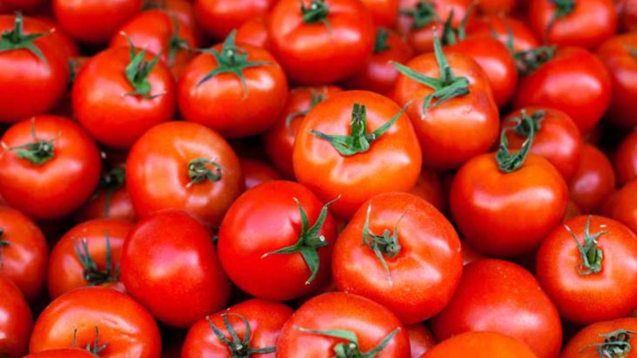 Are tomatoes good for you