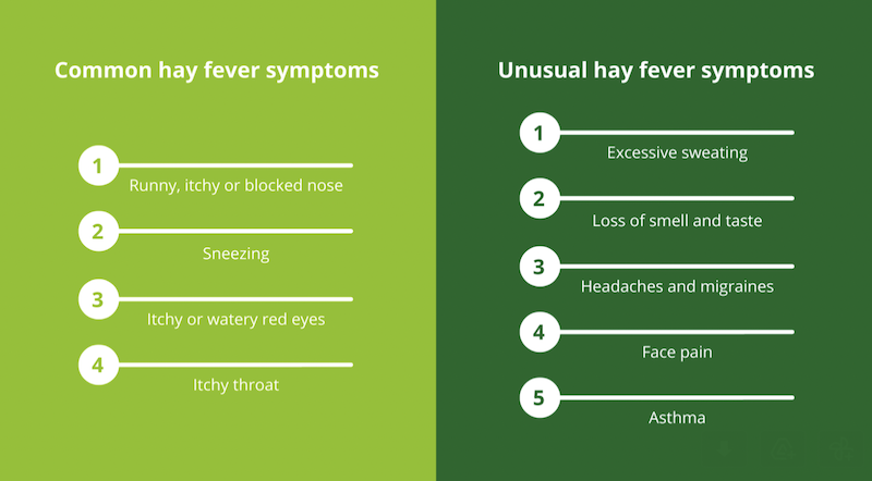Hay fever can look like behavior or learning issues