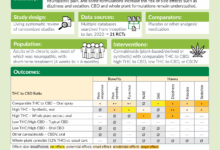Latest research on cannabis as a treatment for chronic pain remains unclear