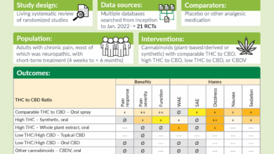 Latest research on cannabis as a treatment for chronic pain remains unclear