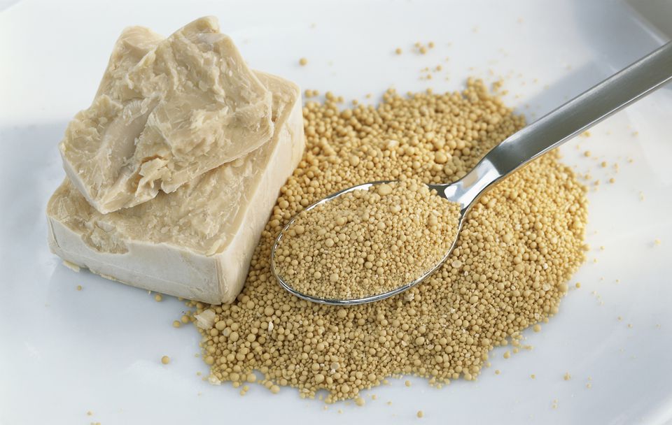 Top 5 Nutritional Yeast Benefits Simplified - DailyVeganLife.com What yeast is good for the gut