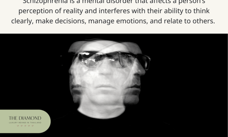What is schizophrenia like