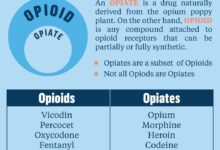 Deadly synthetic opioids in cocaine and other drugs