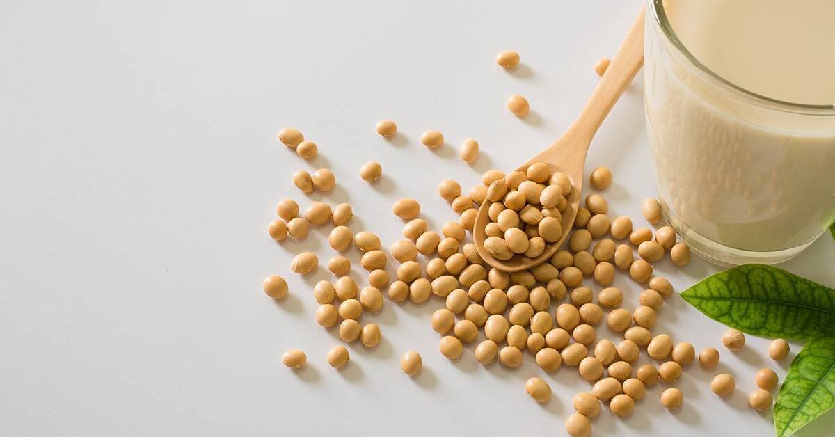 Is soy good for you