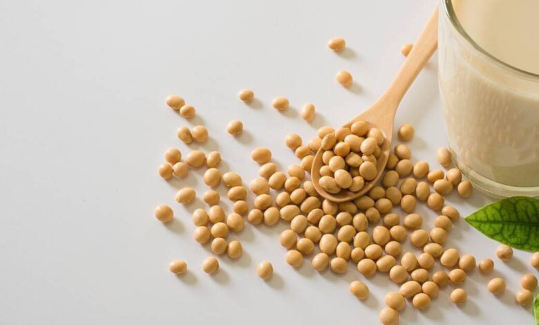 Is soy good for you