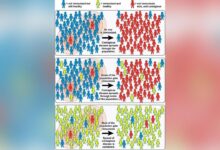 Hawaii edges closer to herd immunity but caution is still advised