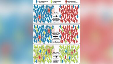 Hawaii edges closer to herd immunity but caution is still advised